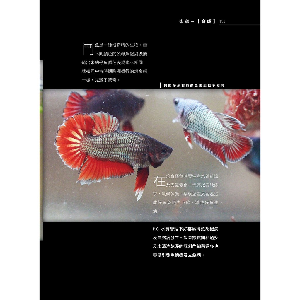 展鬥事典 繁 16 展鬥繁殖飼養培育工具書泰國鬥魚 Sbp展鬥期刊 蝦皮購物