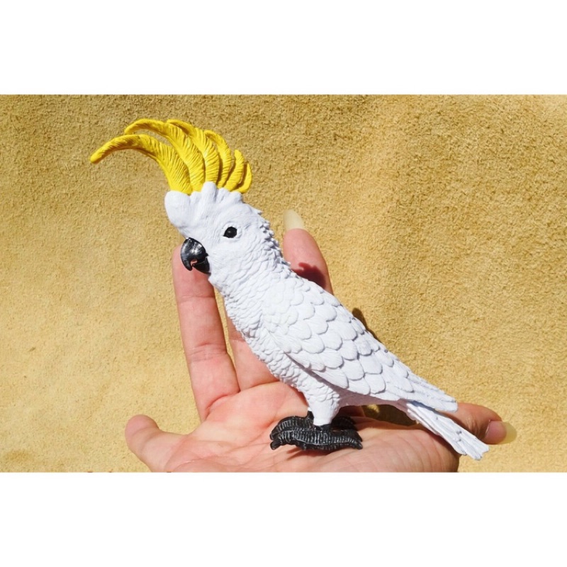 歐美洋行 歐洲系列巨鸚 葵花鳯頭鸚鵡藍眼巴丹小葵花 扭蛋轉蛋擺飾公仔模型仿真小鳥動物多肉植物佈景 蝦皮購物