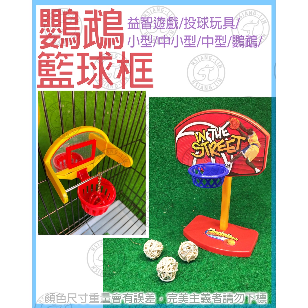 ❄中華鳥園❄鸚鵡籃球框-鸚鵡玩具/益智遊戲/投球玩具