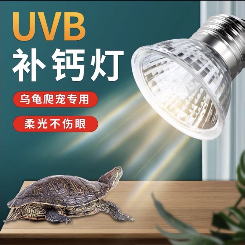 現貨 太陽燈UVB 3.0 烏龜曬背燈 燈泡 爬蟲燈夾 保溫燈 取暖燈 加熱燈 爬蟲燈具 爬蟲燈泡