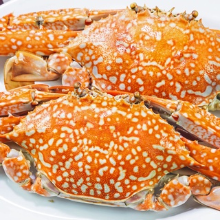 花蟹 生鮮食品優惠推薦 美食 伴手禮21年11月 蝦皮購物台灣