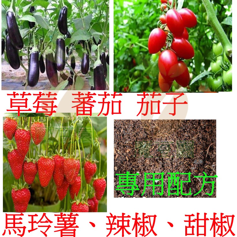 #草莓專用#介質#泥炭土#培養土#有機肥料微生物菌適用草莓番茄茄子辣椒甜椒馬鈴薯苗栗大湖草莓專用【魔豆園】