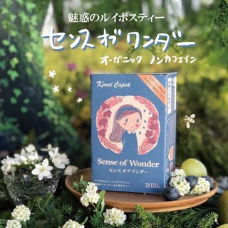 日本 山田詩子 愛麗絲 2021 有機南非國寶茶 無咖啡因 1.2x20p 茶包 經濟包