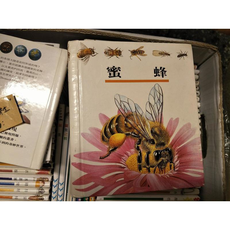 【雜貨小社】自然科學/透明片 理科第一個發現~【33 --蜜蜂、48-- 棕櫚樹、21--農場】滿700打九折，a31