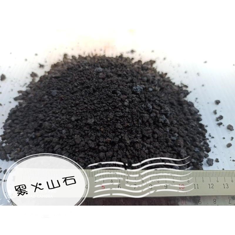 699免運 印尼火山岩 黑火山石1公升裝 蝦皮購物