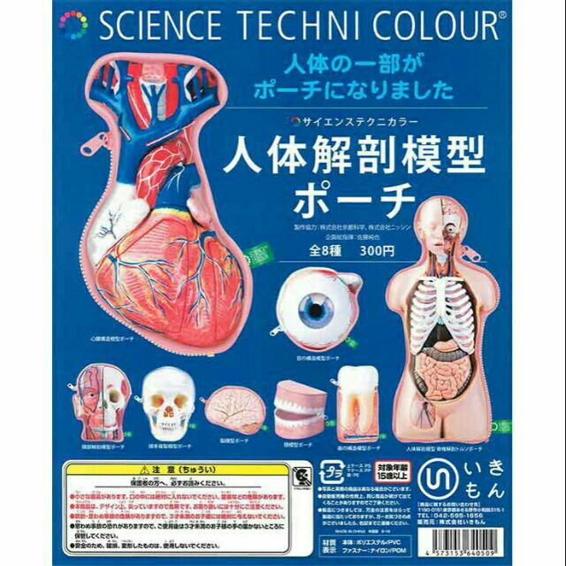 全新 日本 最新 人體解剖模型 收納包 零錢包 扭蛋 心臟 半身器官
