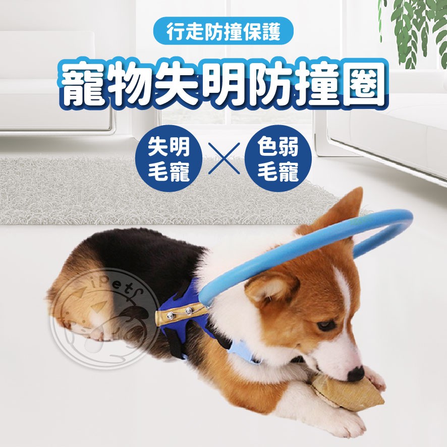 汪喵派對 寵物失明防撞圈狗狗失明防撞盲犬貓安全圈寵物項圈白內障寵物保護圈狗貓防撞環導盲圈保護罩