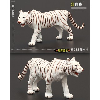 （稀有珍藏）SPG 白老虎 老虎 猛虎 大老虎 白虎 模擬動物模型 野生動物 公仔