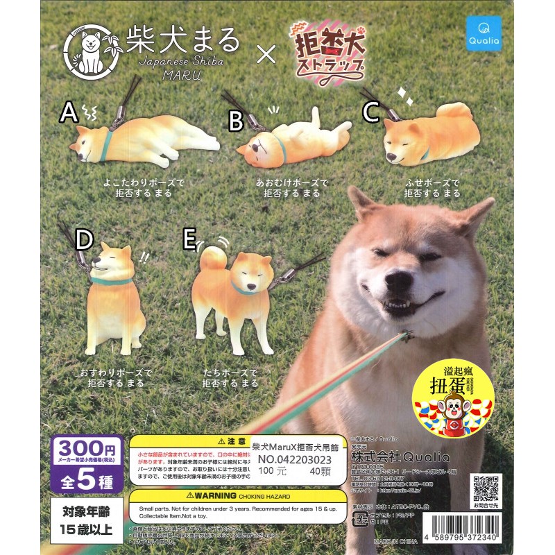 溢起瘋扭蛋 Qualia 轉蛋扭蛋柴犬marux拒否犬吊飾柴犬狗狗全5款 蝦皮購物