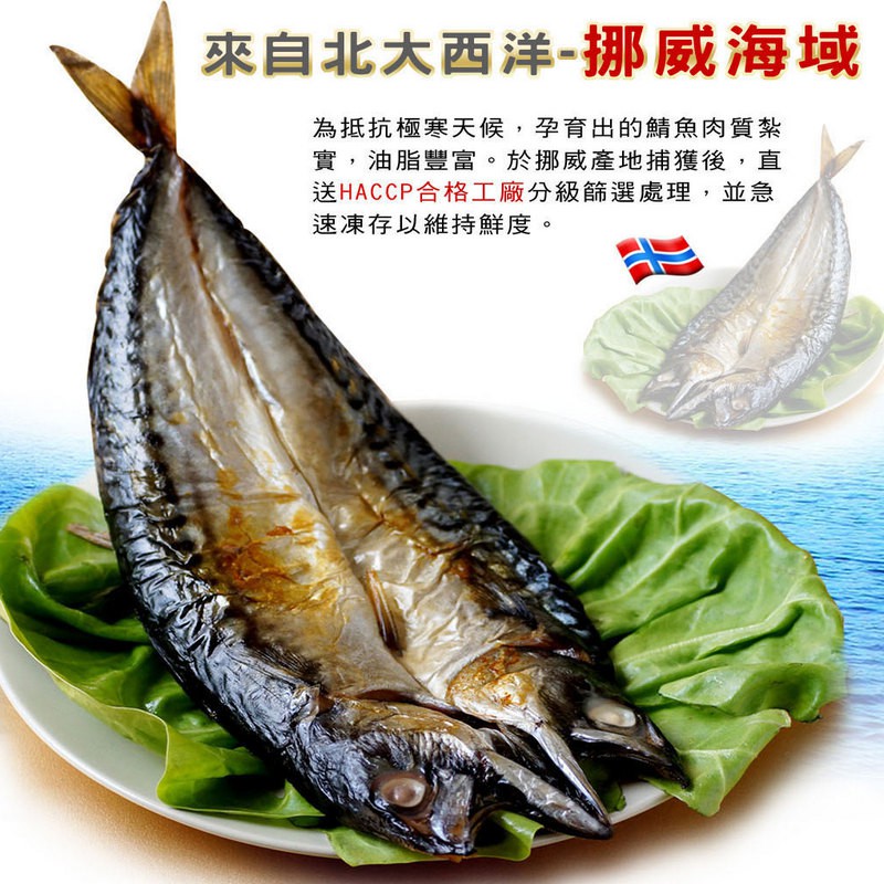 買一送一【海之醇】挪威鯖魚一夜干300g 共2隻