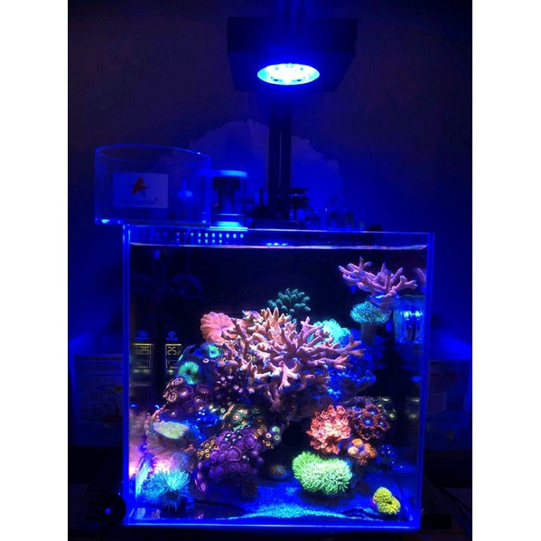 魚樂城水族精品 手機app日出日落控制 海水燈魔神海洋軟體燈旗艦級led海水燈具 美國cree顆粒 蝦皮購物