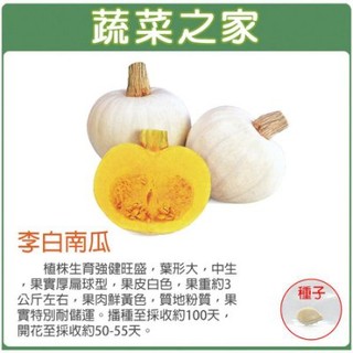 【蔬菜之家滿額免運】G84.李白南瓜種子1顆(李白)(植株生育強健旺盛.果實厚.扁球型.果皮白色.果重約3公斤左右)果菜