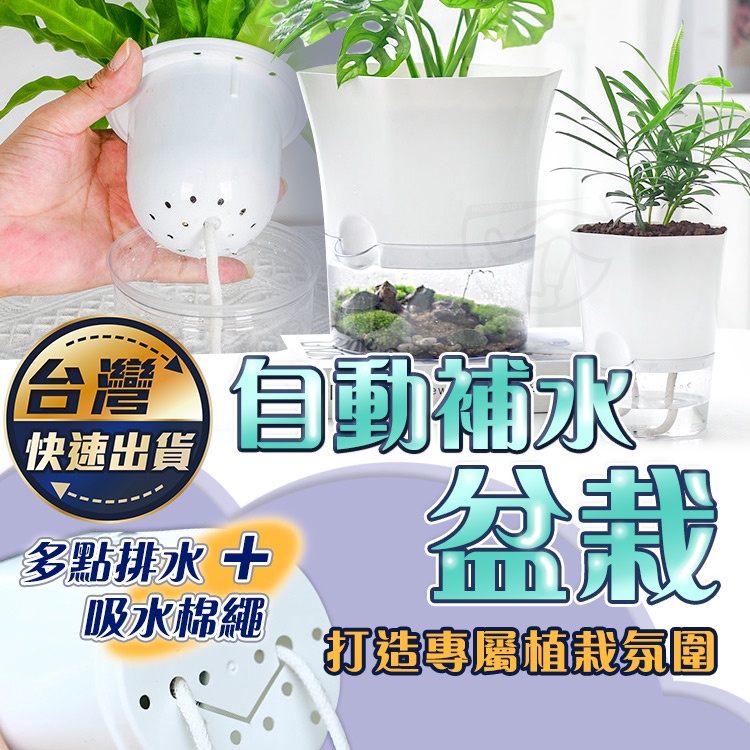 台灣快速出貨 自動補水盆栽懶人花盆吸水花盆透明花盆水培花盆懶人盆栽花盆盆栽塑膠盆植物花盆水耕植物