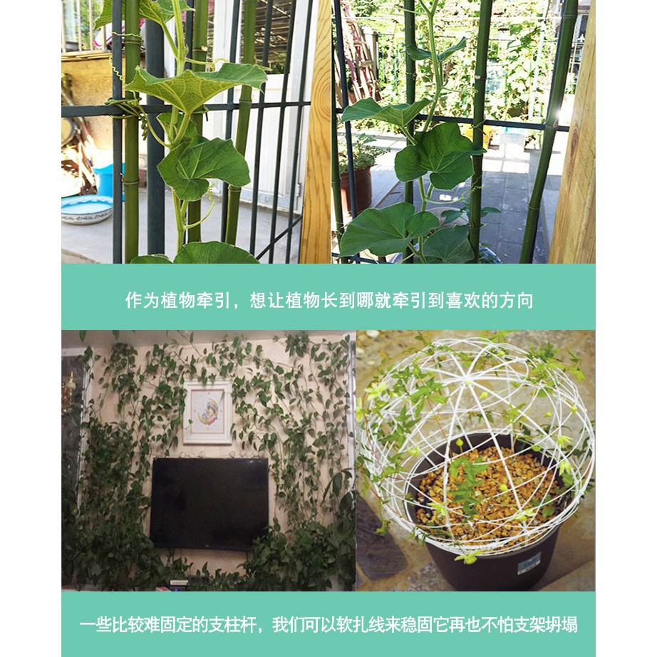 包塑膠軟鐵絲 2 5mm 園藝造型 爬藤支柱 爬藤植物造型 Diy專用 蝦皮購物