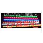 【鑫巢】買10送1_ 30CM 18燈 台灣製造 SMD 5050 LED燈條  24V 照明 日行燈 車底燈