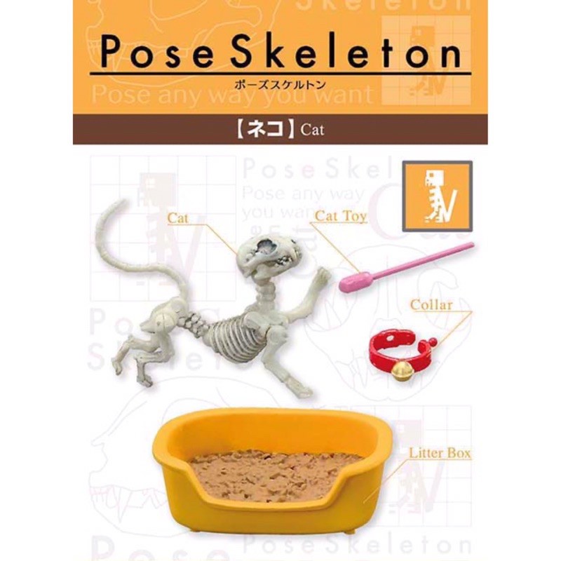 日本 正版 RE-MENT pose skeleton 骷髏 骷髏人 貓骷髏 貓