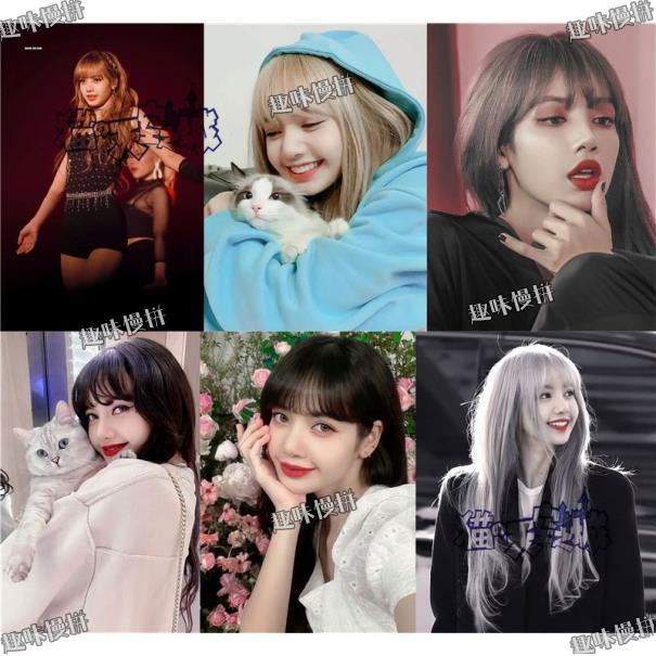 💯免運 Diy木質拼圖 BLACKPINK明星Lisa 300片 500片 1000片 來圖客製化