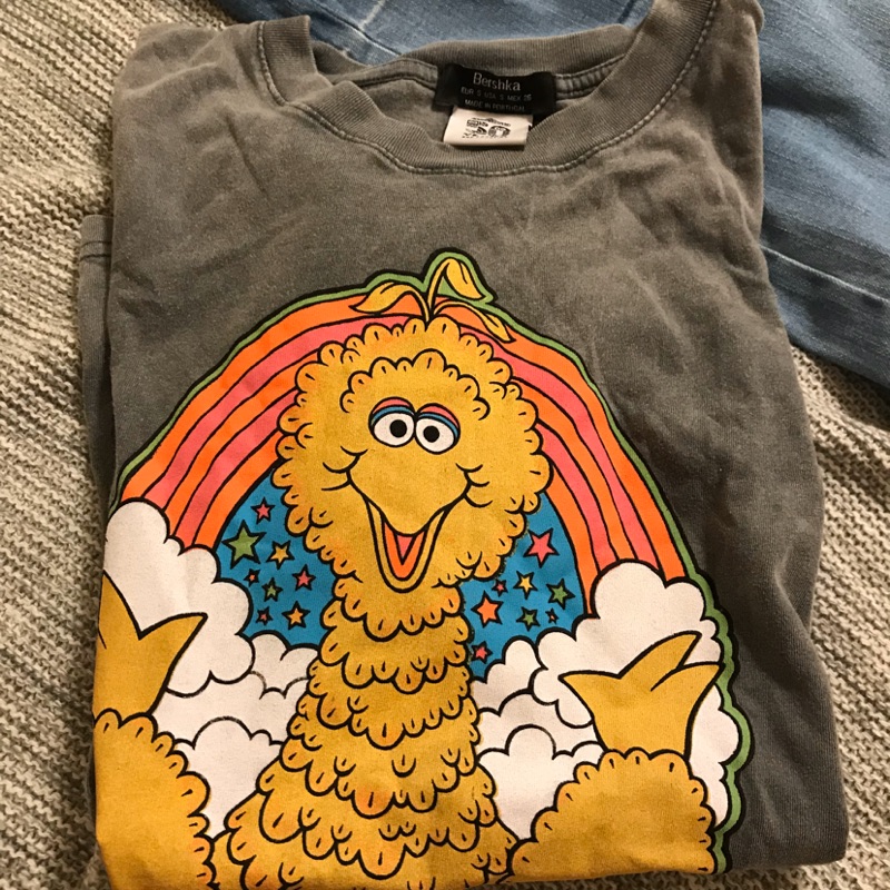 Bershka Sesame Street 芝麻街聯名上衣水洗仿舊T-shirt | 蝦皮購物