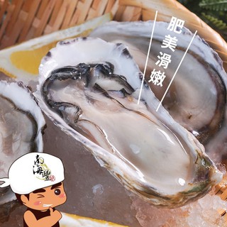 南海豐【手掌大！特大半殼生蠔】600g/包 海上先生推薦 顆顆飽滿，鮮甜多汁，吃得到新鮮大牡蠣