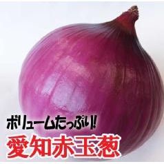 蔬菜種子s231 愛知赤玉葱 顏色鮮豔 味道甜美 最適合沙拉用 蝦皮購物