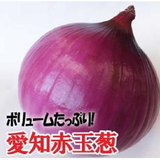 大包裝蔬菜種子l231 愛知赤玉葱 顏色鮮豔 味道甜美 最適合沙拉用 蝦皮購物