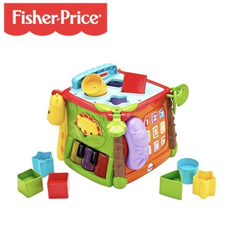 【樂森藥局】Fisher-Price 費雪 可愛動物積木盒 聲光互動 寶寶感官發展 原廠公司貨 6個月以上