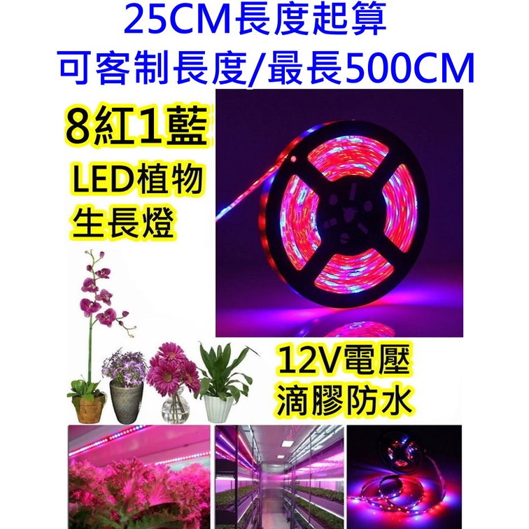 15顆燈25cm長度起 8紅1藍 LED植物生長燈【沛紜小鋪】LED植物燈 LED園藝燈 LED植物補光燈 LED軟條燈
