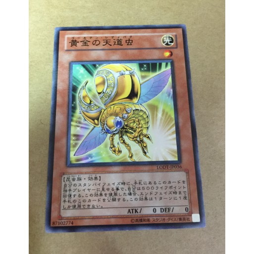 遊戲王lodt Jp036 黃金瓢蟲黃金天道蟲普卡卡片 蝦皮購物