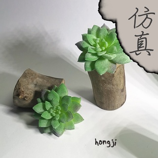 多肉 模擬多肉 微景觀 P38 假多肉植物 辦公室小物 療癒紓壓生日禮物拍照道具居家裝飾咖啡屋商店擺飾迷你木頭底座盆栽