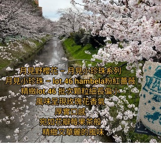 咖啡生豆 月見野櫻花 lot.46小珍珠 粉紅薔薇 古吉 G1 日曬 衣索比亞 波雷克堤咖啡 每單限重4公斤