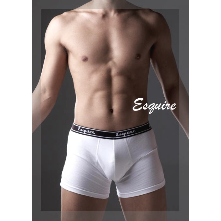 【Esquire】銀纖維男性內褲-白色