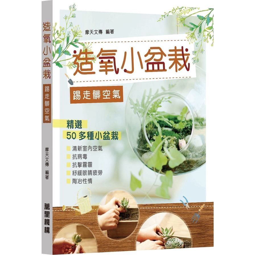 造氧小盆栽踢走髒空氣(摩天文傳) 墊腳石購物網