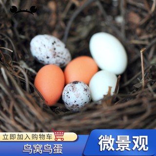 *5號模具館* 苔蘚微景觀DIY裝飾品樹脂玩具DIY可愛創意小擺件模擬鳥蛋 鳥窩