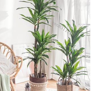 限時免運 北歐ins仿真植物假花綠植盆栽擺件巴西鐵樹客廳室內落地大型裝飾