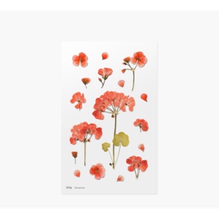 《穀雨好學》 Appree壓花貼紙（geranium)