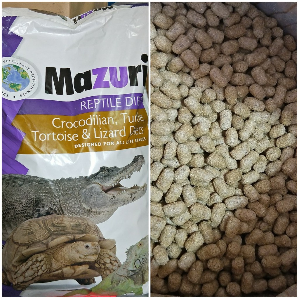 美國 Mazuri 陸龜飼料 大乖乖【200g／500g／1Kg】分裝包 蘇卡達 豹龜 紅腿 赫曼 陸龜 婷婷百貨