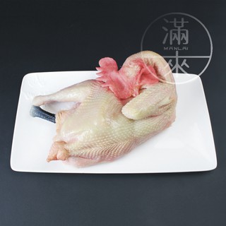 可開發票 仿真生雞模型 整隻雞模型 雞模型 祭拜供品食品模型 生雞模型 雞肉模型 雞供品模型 食品模型ARMJ客滿來