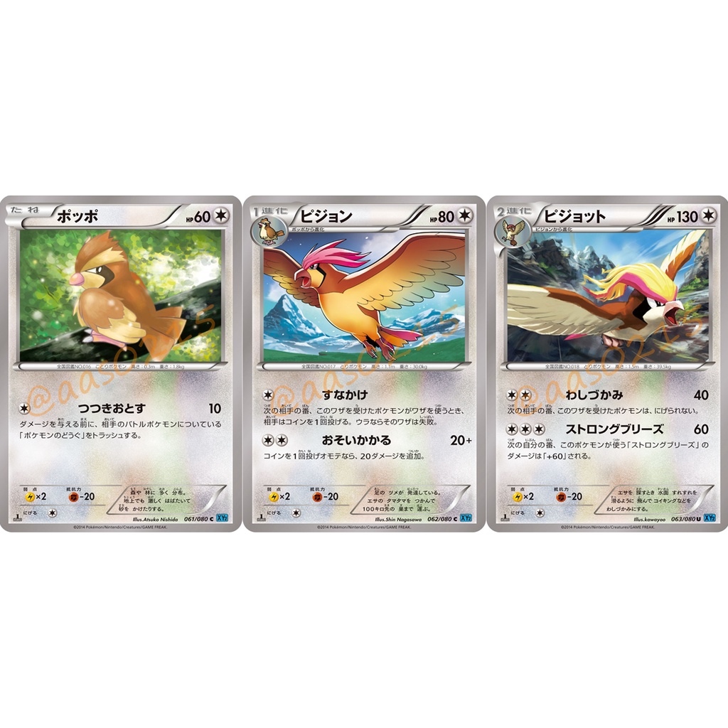 s Pokemon Tcg Ptcg 日版絕版xy 一刷進化組波波比比鳥比雕寶可夢卡牌神奇寶貝卡牌 蝦皮購物