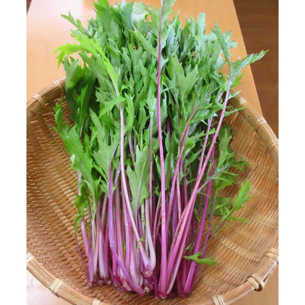 貝蘿香草花園精選種子京水菜紫色京水菜| 蝦皮購物