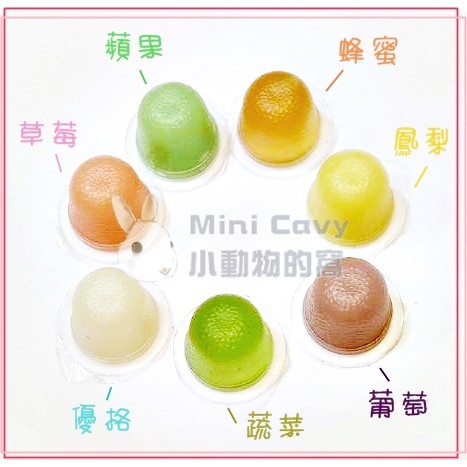 Mini Cavy♥ 香甜水果果凍 單顆
