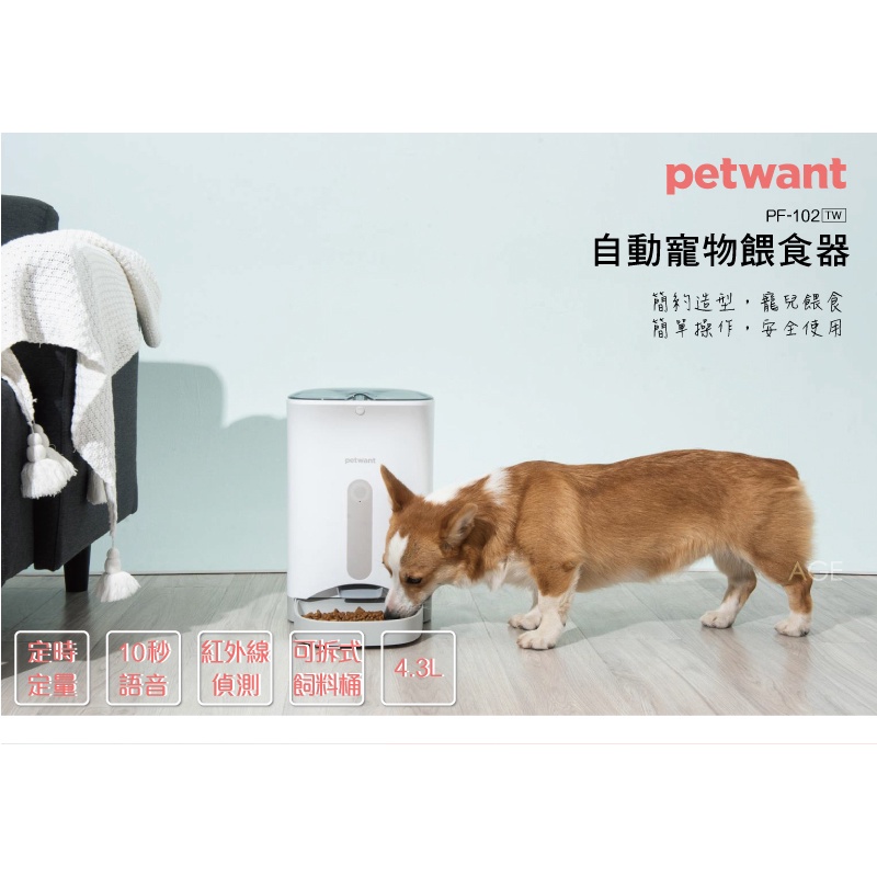 (二手)【PETWANT】自動寵物餵食器-灰