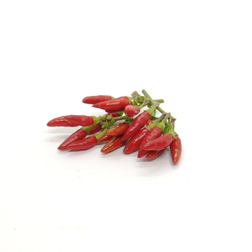 小雞心辣椒種子(大辣)，果長約1.5cm，辣度不容小覷，非常多產，種一盆整年不用買辣椒