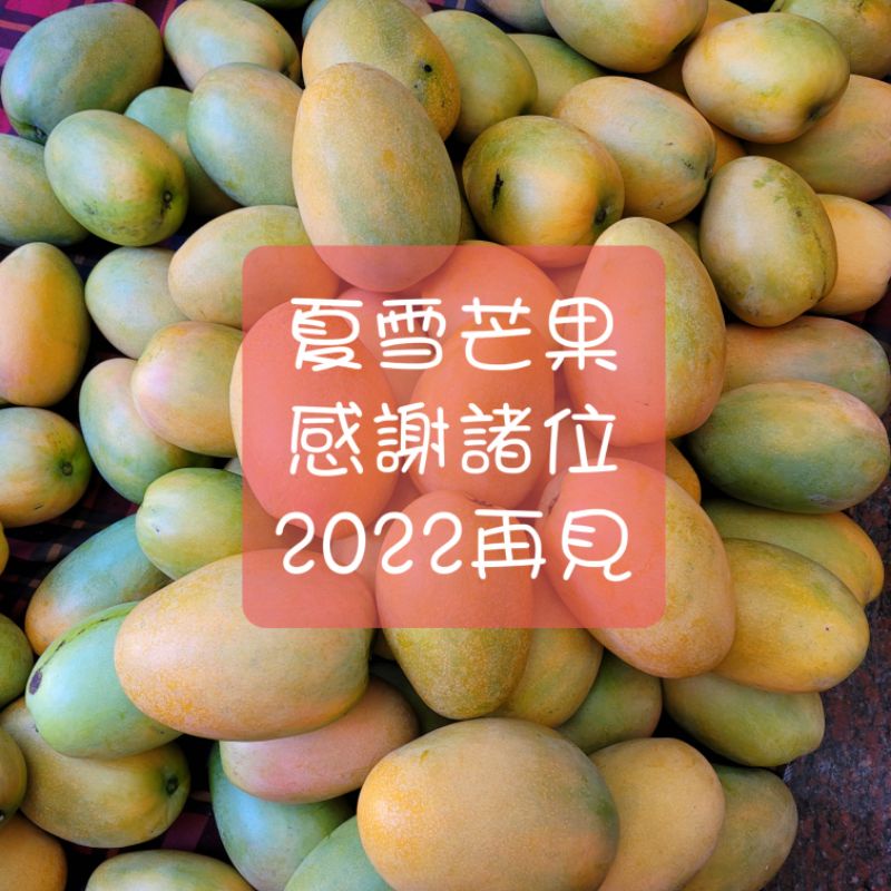 夏雪芒果10 斤的價格推薦 21年8月 比價比個夠biggo