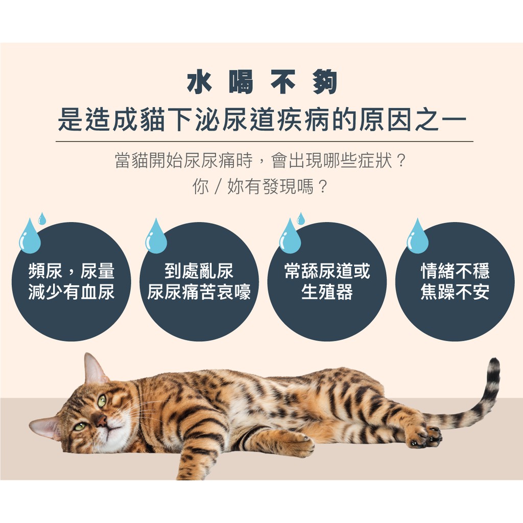 🐈夜貓子寵物舖🐈KATTOVIT 康特維貓咪腎臟保健處方罐85g/175g 腎臟肉汁 