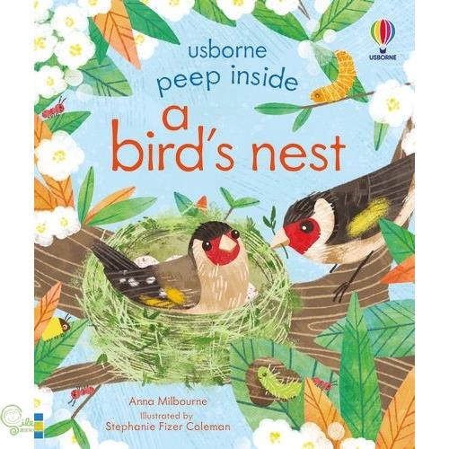 Peep Inside a Bird\