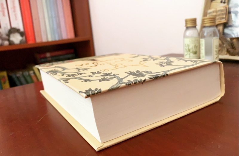 Anne Of Green Gables 清秀佳人紅髮安妮精裝原文英文小說novel 暢銷小說 蝦皮購物
