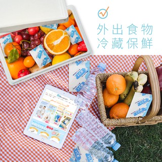 DL哆愛 臺灣製 保冷神器- 大冰寶 保冷劑 保冷 冰寶 冰磚 冰袋 保鮮 母乳海鮮保冷必備 臺灣專利外銷日本