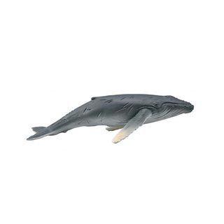 「芃芃玩具」COLLECTA動物模型恐龍模型R88963 幼座頭鯨 模擬教材教學售價190貨號88963