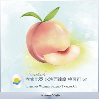 陽光夏 濾掛式咖啡 (淺烘焙)/ 水洗西達摩 桃可可 G1