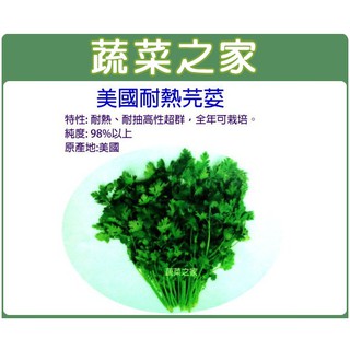 蔬菜之家滿額免運【00F12】大包裝.美國芫荽(美國進口耐熱品種香菜) 種子200克 (約20000顆)